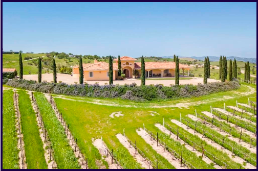 Aterno Estate Vineyard