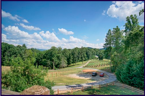 Paradise Hills Winery Resort Spa